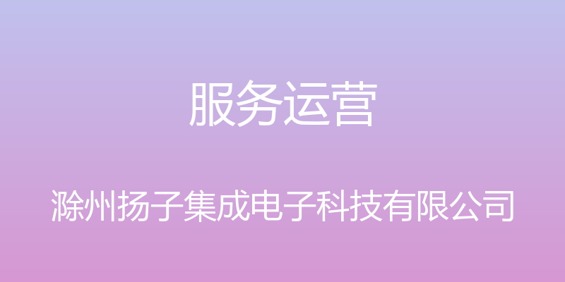 服务运营 - 滁州扬子集成电子科技有限公司